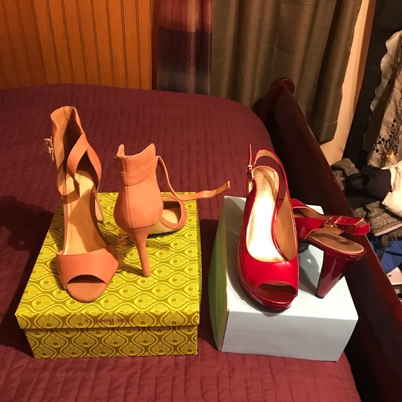 Gianni Bini and Antonio Melani - Picture 1 of 1